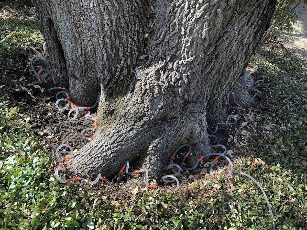 Detailed Shrub and Hedge Trimming job site in Island